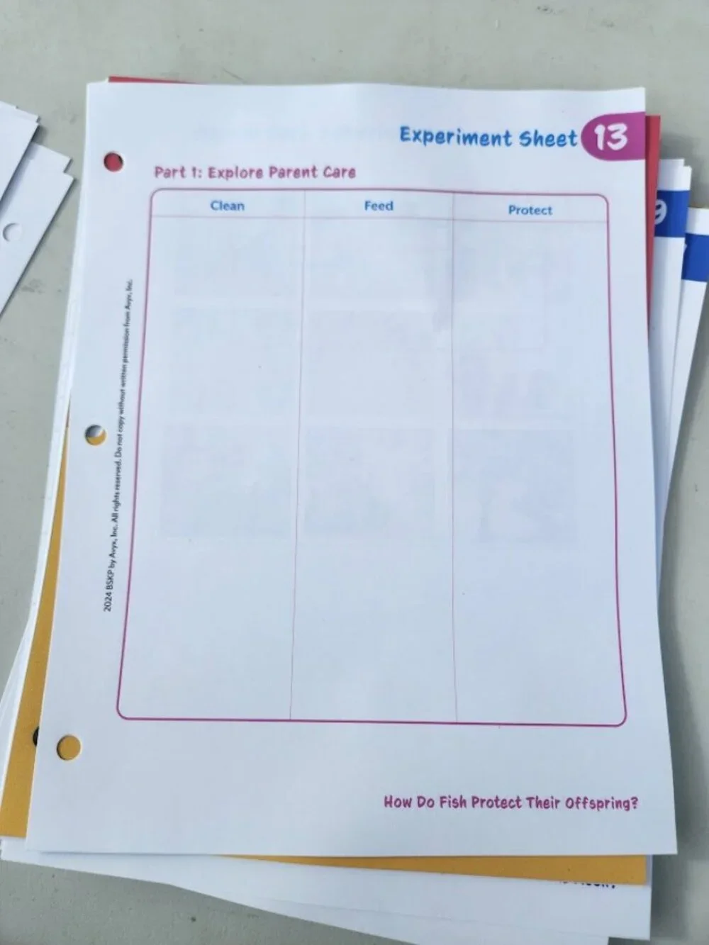 NEW BookShark Book Shark Science B Experiment Paper Packet Worksheets Homeschool